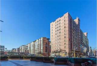 山西彩漂粉推荐